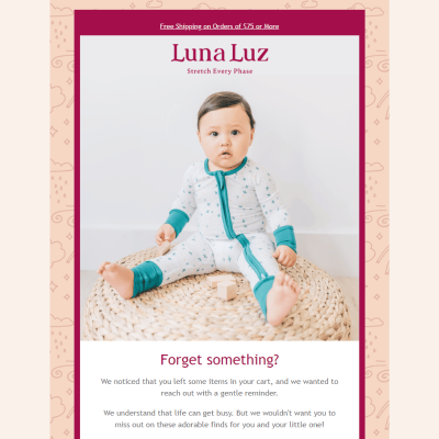 Abandoned Cart Email Snapshot